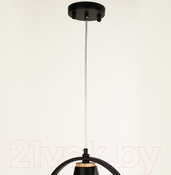 Изображение товара Потолочный светильник F-Promo F-Promo Uccello / 2938-1P