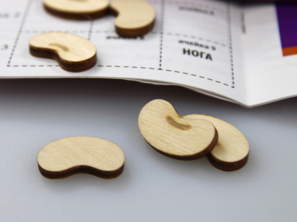 Изображение товара Настольная игра Десятое королевство Гадание на бобах / 2988