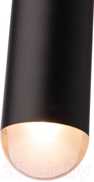 Изображение товара Потолочный светильник Loftit 1511-BL