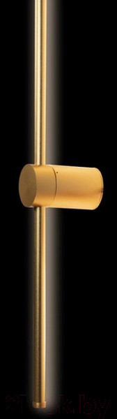 Изображение товара Светильник Loftit Rays 10053GD