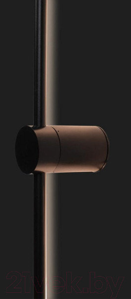 Изображение товара Светильник Loftit Rays 10054BK