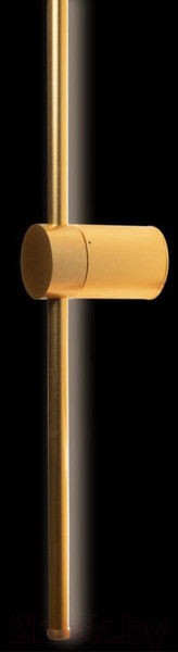 Изображение товара Светильник Loftit Rays 10054GD