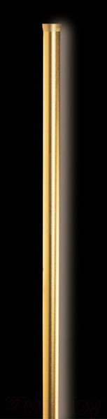 Изображение товара Светильник Loftit Rays 10054GD