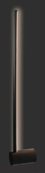 Изображение товара Светильник Loftit Rays 10055BK