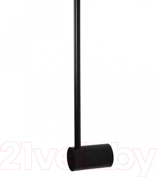 Изображение товара Светильник Loftit Rays 10055BK