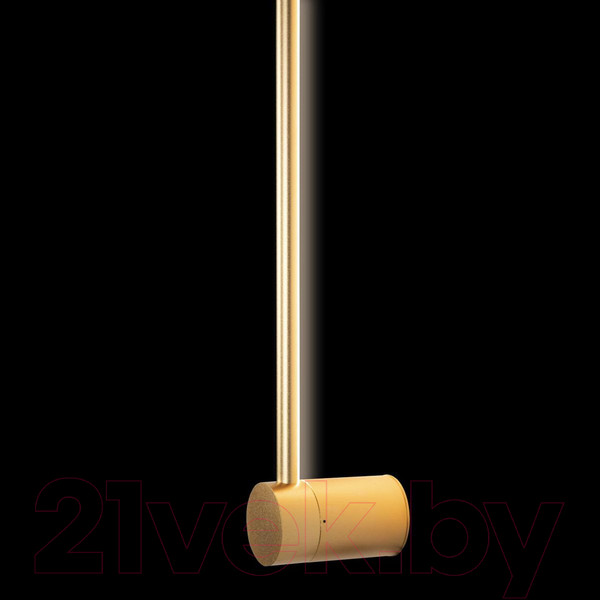 Изображение товара Светильник Loftit Rays 10055GD