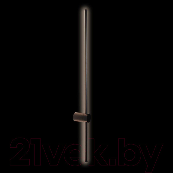 Изображение товара Светильник Loftit Rays 10052BK