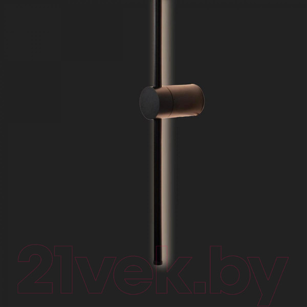 Изображение товара Светильник Loftit Rays 10052BK