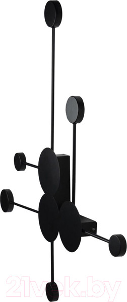 Изображение товара Светильник Loftit Rays 10058BK