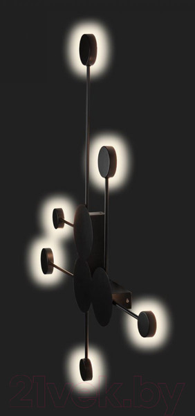 Изображение товара Светильник Loftit Rays 10058BK