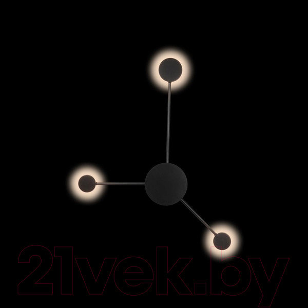 Изображение товара Светильник Loftit Rays 10059BK