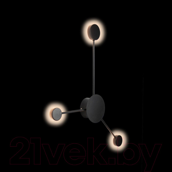 Изображение товара Светильник Loftit Rays 10059BK