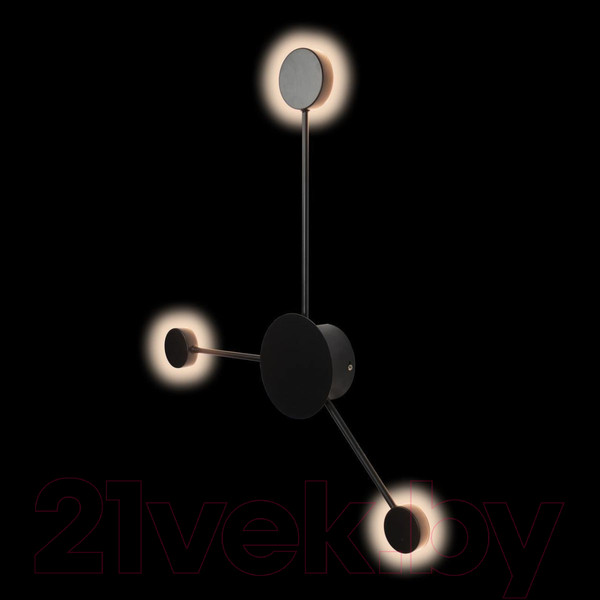 Изображение товара Светильник Loftit Rays 10059BK