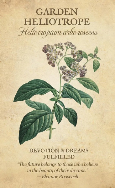 Изображение товара Гадальные карты U.S. Games Systems Botanical Inspiration Deck/Book Set / BIC44