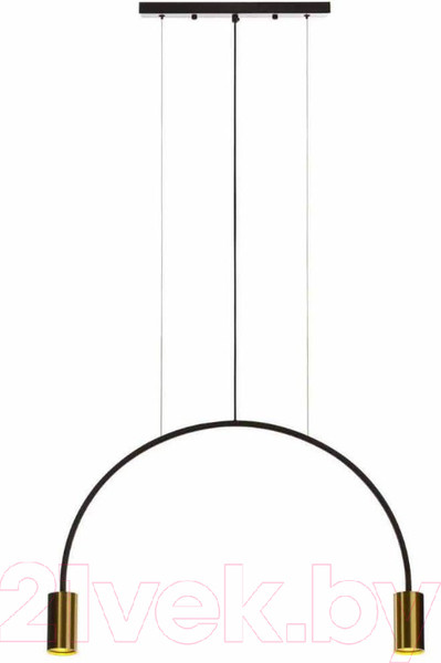 Изображение товара Потолочный светильник Loftit 5043-2