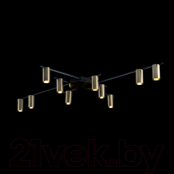 Изображение товара Люстра Loftit Tribes 8120C-10