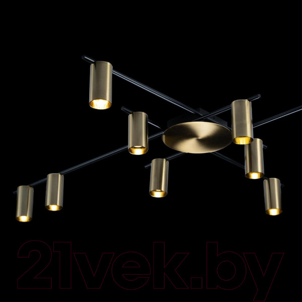 Изображение товара Люстра Loftit Tribes 8120C-10