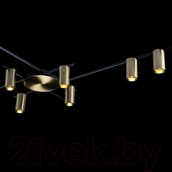 Изображение товара Люстра Loftit Tribes 8120C-10