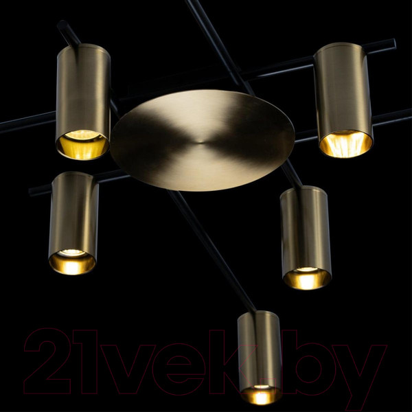 Изображение товара Люстра Loftit Tribes 8120C-8