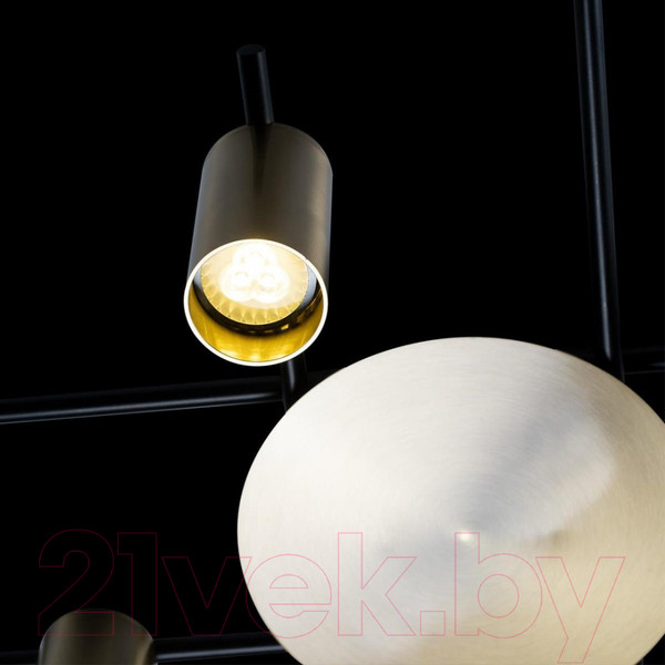 Изображение товара Люстра Loftit Tribes 8120C-8