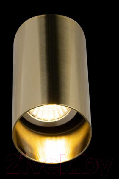 Изображение товара Бра Loftit Tribes 8120W-1