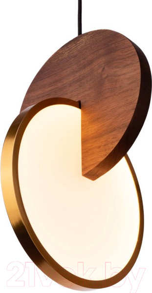 Изображение товара Потолочный светильник Loftit 9970C