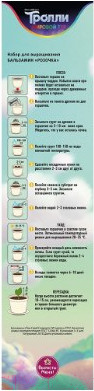 Изображение товара Набор для выращивания растений Вырасти меня Сад троллей. Бальзамин. Розочка / hpn-22