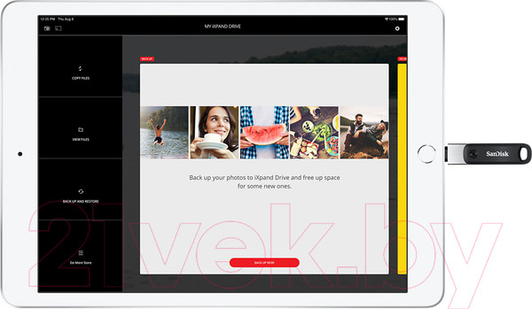 Изображение товара USB flash накопитель SanDisk iXpand Flash Drive Go 128Gb (SDIX60N-128G-GN6NE)