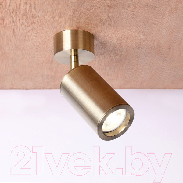 Изображение товара Спот FAVOURITE Angularis 2801-1U