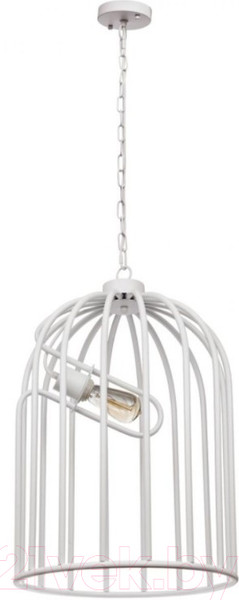 Изображение товара Потолочный светильник Loftit LOFT1892A