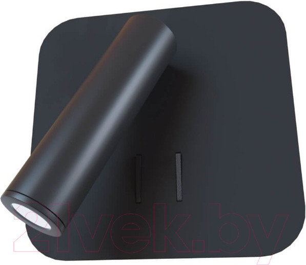 Изображение товара Спот Loftit LOFT2019-BL