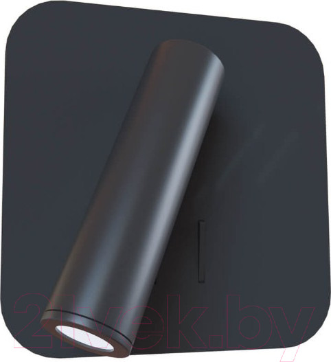 Изображение товара Спот Loftit LOFT2019-BL