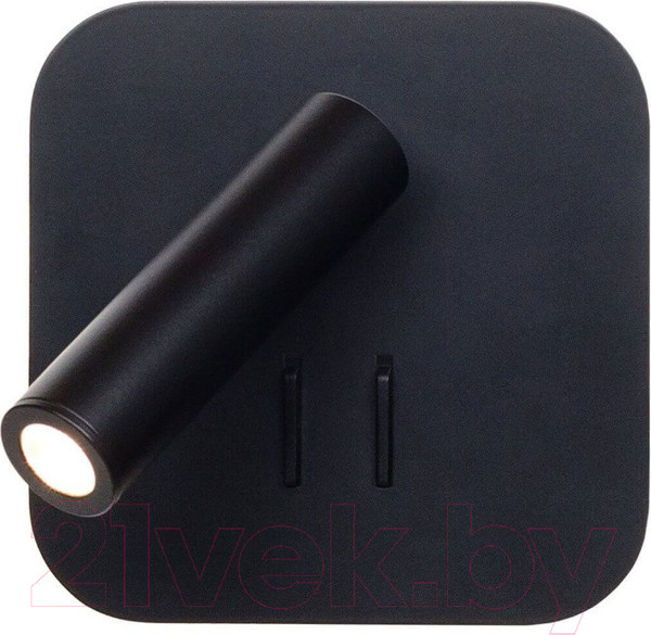 Изображение товара Спот Loftit LOFT2019-BL