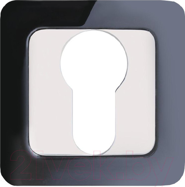 Изображение товара Накладка на цилиндр Аллюр АРТ ET-S1 BN/CP (черный никель/хром)