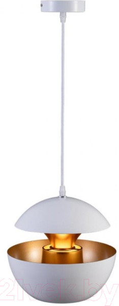 Изображение товара Потолочный светильник Loftit LOFT2213-A