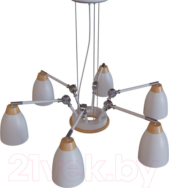 Изображение товара Люстра Loftit LOFT4402/6WH