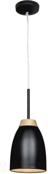 Изображение товара Потолочный светильник Loftit LOFT4402A-BL