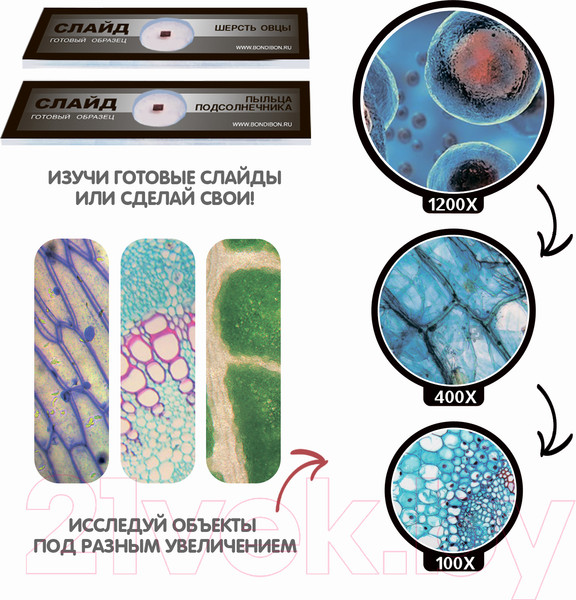 Изображение товара Микроскоп оптический Bondibon Французские опыты. Науки с Буки / ВВ5286