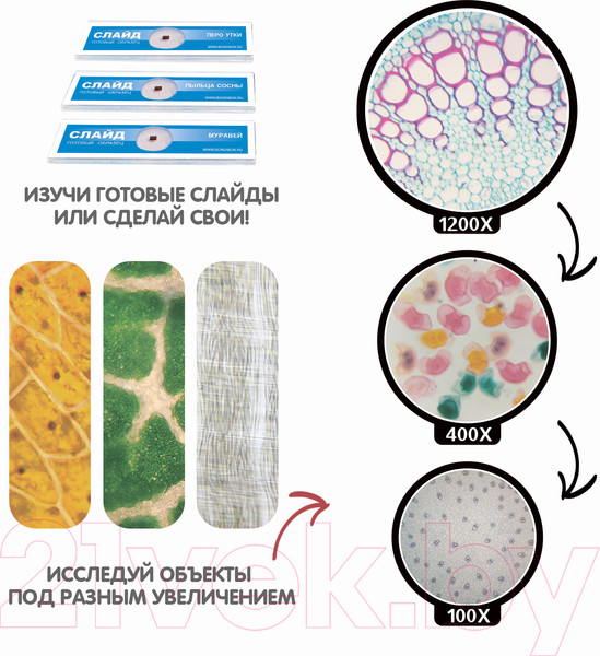 Изображение товара Микроскоп оптический Bondibon Французские опыты. Науки с Буки / ВВ5287