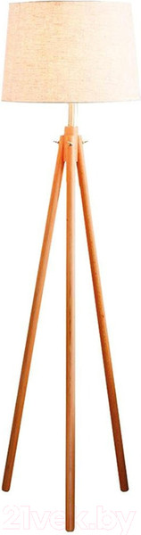 Изображение товара Торшер Loftit LOFT7112F