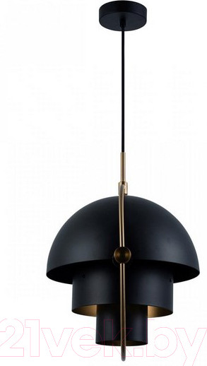 Изображение товара Потолочный светильник Loftit LOFT9915-BL