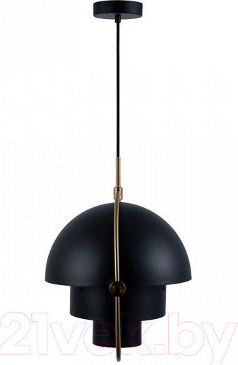 Изображение товара Потолочный светильник Loftit LOFT9915-BL