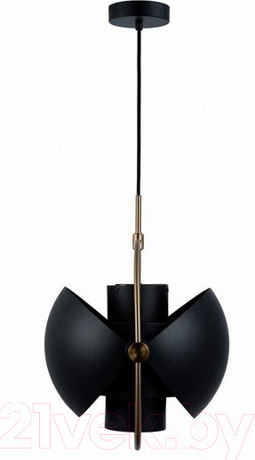 Изображение товара Потолочный светильник Loftit LOFT9915-BL