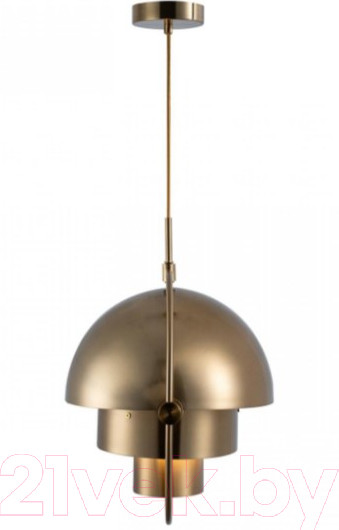 Изображение товара Потолочный светильник Loftit LOFT9915-C