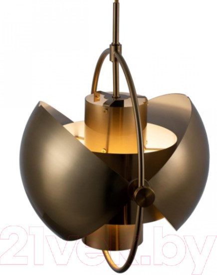 Изображение товара Потолочный светильник Loftit LOFT9915-C