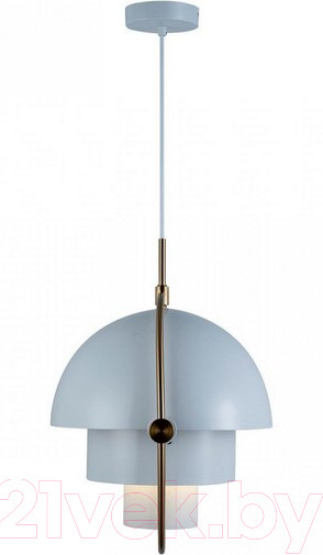 Изображение товара Потолочный светильник Loftit LOFT9915-WH