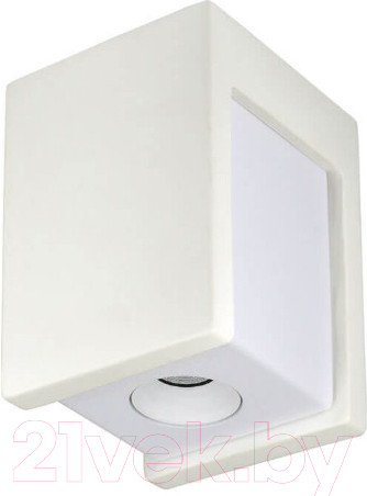 Изображение товара Точечный светильник Loftit Architect OL1073-WW