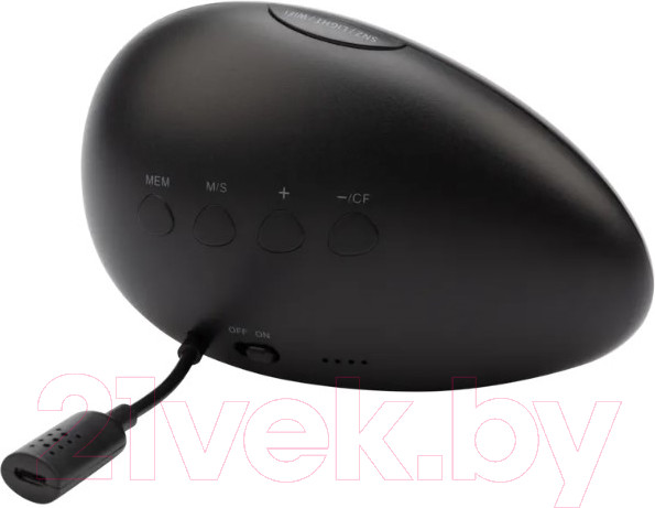 Изображение товара Метеостанция цифровая Halsa HLS-E-102 Wi-Fi