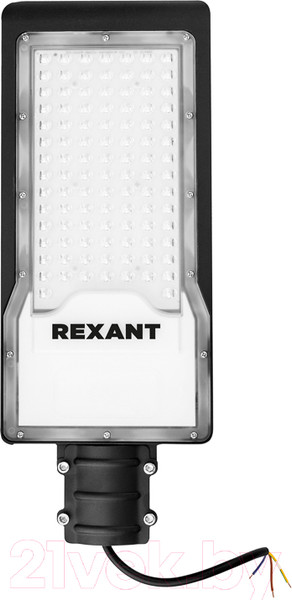 Изображение товара Светильник уличный Rexant ДКУ 01-100-5000К-ШС IP65 / 607-301