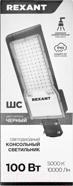 Изображение товара Светильник уличный Rexant ДКУ 01-100-5000К-ШС IP65 / 607-301